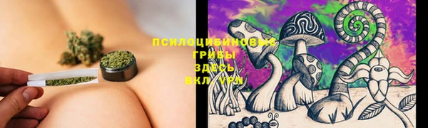 спайс Алзамай